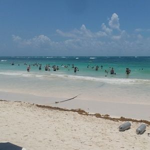 Meet your Posher, Judy